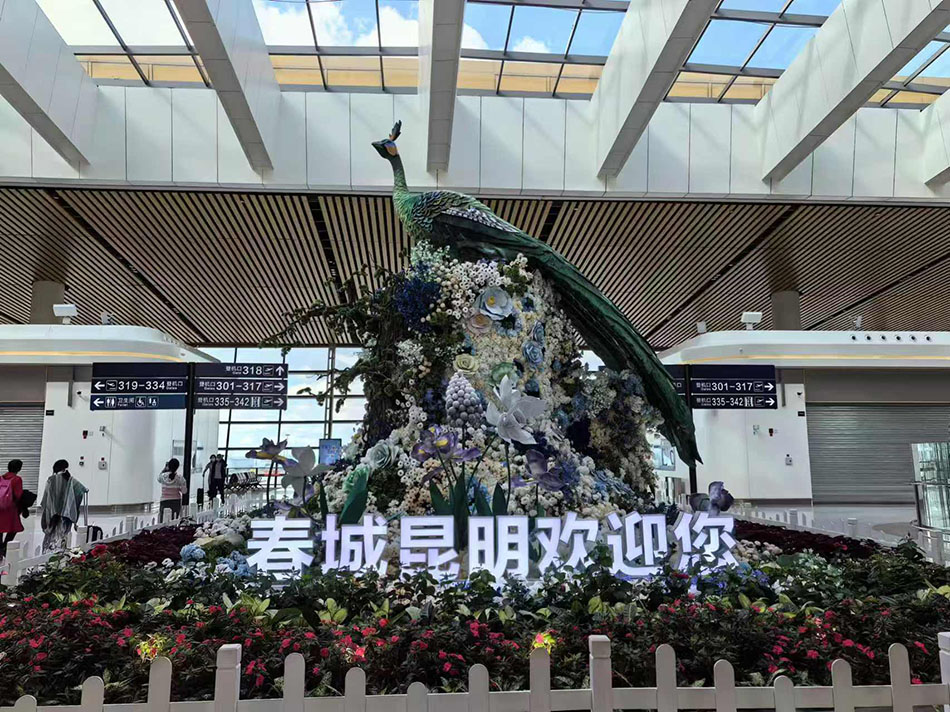 202408月云南 (10).jpg